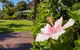 Tuscany Apartments - thumb 6