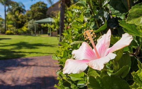 Tuscany Apartments - Australia Accommodation 6
