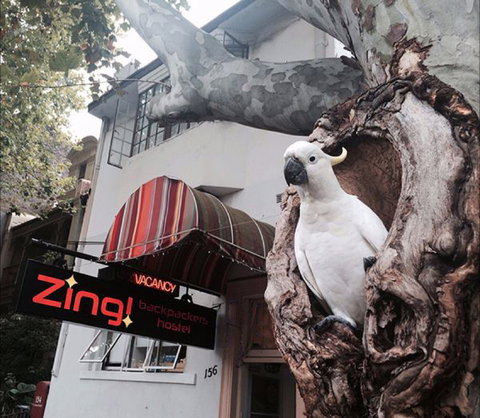 Zing! Backpackers Hostel - Australia Accommodation 0