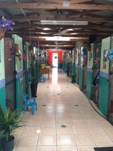 Hillcrest Pet Resort - Australia Accommodation 0