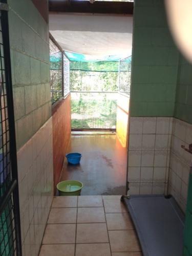 Hillcrest Pet Resort - Australia Accommodation 1