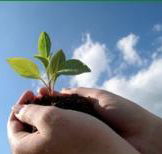 Vital Spirit Natural Health - Australia Accommodation