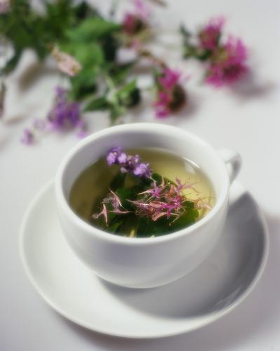 Vital Spirit Natural Health - Australia Accommodation 1