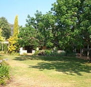 Banderra B and B Farmstay - Australia Accommodation