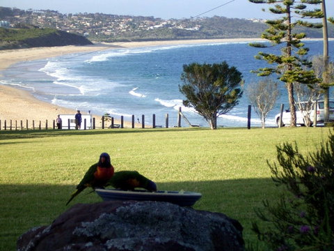 Beach Cabins Merimbula - Australia Accommodation 5