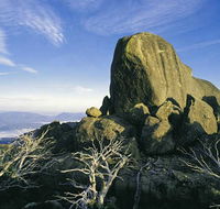 Big4 Taunton Farm Holiday Park - Australia Accommodation