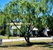 Blue Topaz Caravan Park  Camping Ground - Australia Accommodation