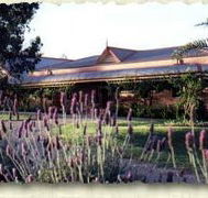Bluebush Estate - Australia Accommodation