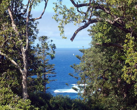 Bucks Point House - Australia Accommodation 3