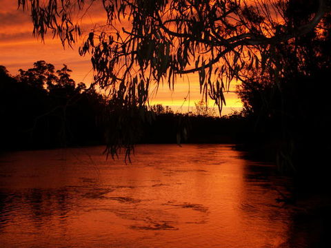 Cadell On The Murray Motel Resort - Australia Accommodation 0