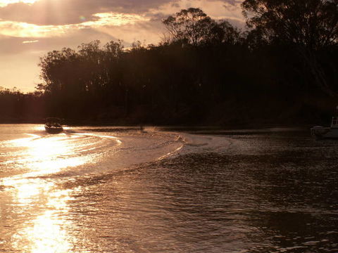 Cadell On The Murray Motel Resort - Australia Accommodation 4