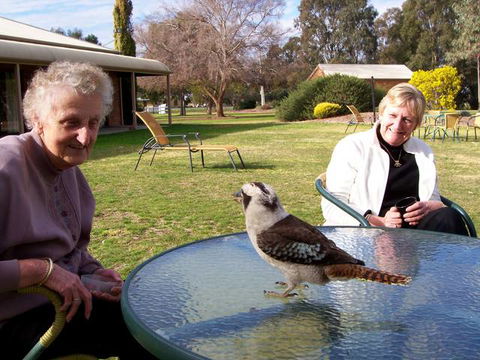 Cadell On The Murray Motel Resort - Australia Accommodation 6