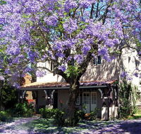 Callam Court - Australia Accommodation