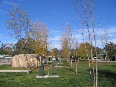 Cobram Oasis Tourist Park - Australia Accommodation 1