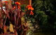Crystal Fountain Motel - thumb 1