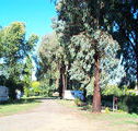 Cudal Caravan Park - Australia Accommodation