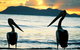 Cairns Beaches Affordable Holiday Accommodation - thumb 4