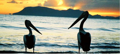 Cairns Beaches Affordable Holiday Accommodation - Australia Accommodation 4