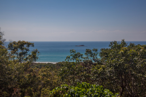 Grass Trees On Straddie - Australia Accommodation 4