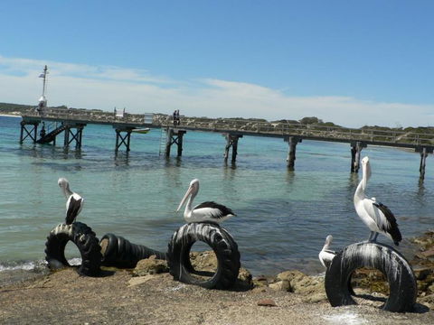 Fareview Beach House - Australia Accommodation 0