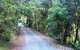 Solitude Retreat - thumb 0