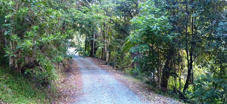 Solitude Retreat - Australia Accommodation 0