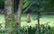 Solitude Retreat - thumb 1
