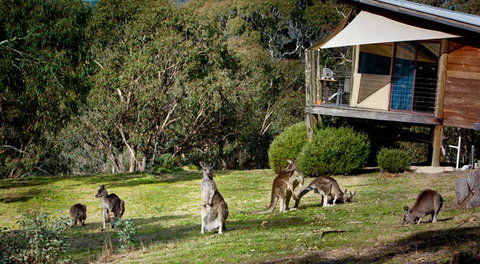 Eagle View Escape - Australia Accommodation 3