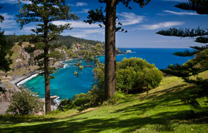Forrester Court Cliff Top Cottages - Australia Accommodation 7