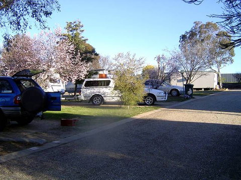 Horseshoe Motor Village Caravan Park - Australia Accommodation 1