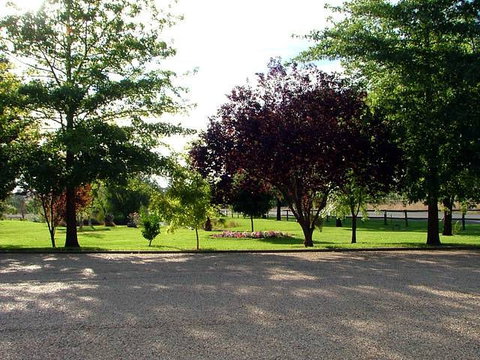 Horseshoe Motor Village Caravan Park - Australia Accommodation 4