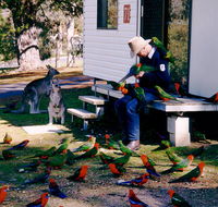 Inland Waters Holiday Parks Burrinjuck - Australia Accommodation