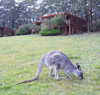 Jenolan Caves Cottages - Australia Accommodation