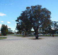 Keith Caravan Park - Australia Accommodation
