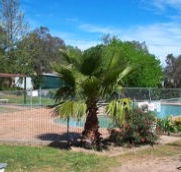 Lake Burrinjuck Leisure Resort - Australia Accommodation