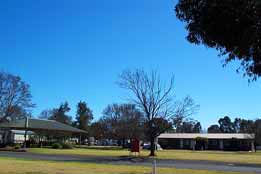 Leeton Caravan Park - Australia Accommodation 4
