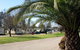 Leeton Caravan Park - thumb 2