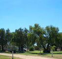 Lockhart Caravan Park - Australia Accommodation