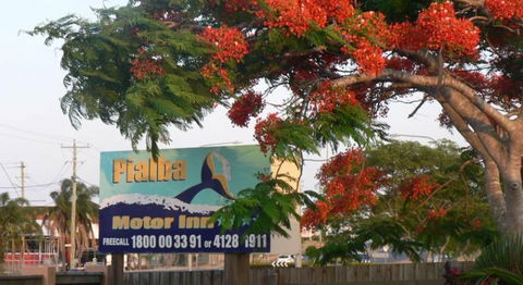 Pialba Motor Inn - Australia Accommodation 1