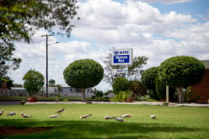 Quilpie Motor Inn - Australia Accommodation 2