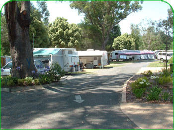 Mittagong Caravan Park - Australia Accommodation 1