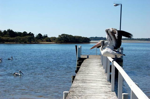 Moby Dick Waterfront Motel - Australia Accommodation 4