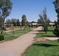 Narrandera Caravan Park - Australia Accommodation