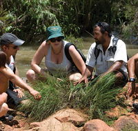 Nitmiluk Tours  Accommodation - Australia Accommodation