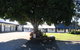 Pacific Motel - thumb 1