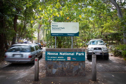 Palm Court Noosa - Australia Accommodation 9