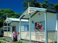 Paradise Palms Carey Bay - Australia Accommodation 1
