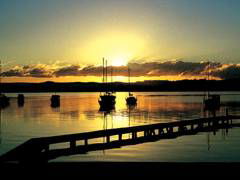 Paradise Palms Carey Bay - Australia Accommodation 4