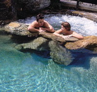 Reef Palms - Australia Accommodation