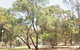 Riverton Caravan Park - thumb 0